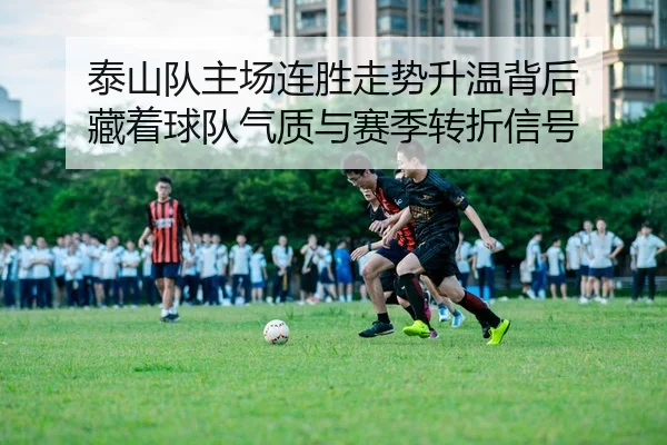 泰山队主场连胜走势升温背后 藏着球队气质与赛季转折信号